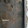 IMG_6206