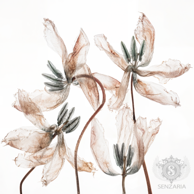 Трансфер - Тюльпаны Трансфер - Тюльпаны