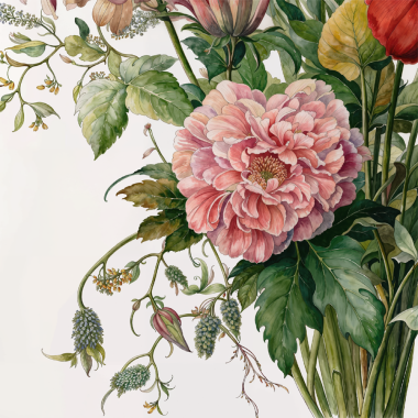 Трансфер- Гербарий 1 Трансфер- Гербарий 1